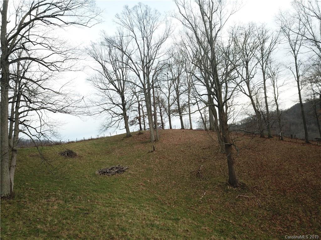 8617 Cruso Road Canton, NC 28716 - Photo 29 of 30 a view of mountain view with lots of trees