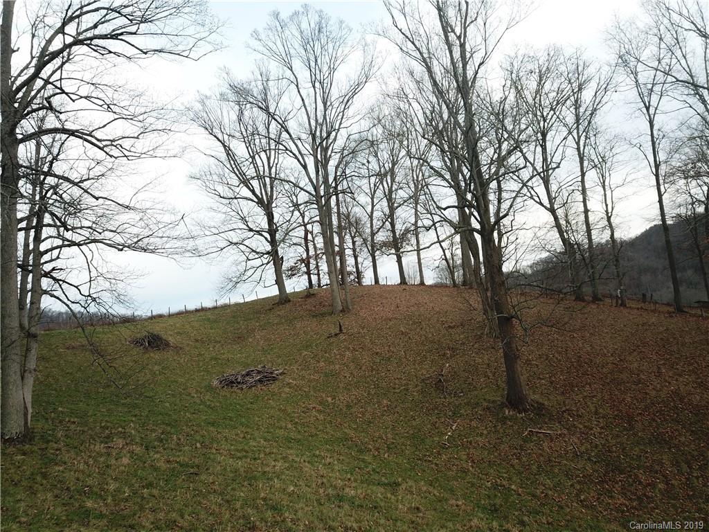 8617 Cruso Road Canton, NC 28716 - Photo 30 of 30 a view of mountain view with lots of trees