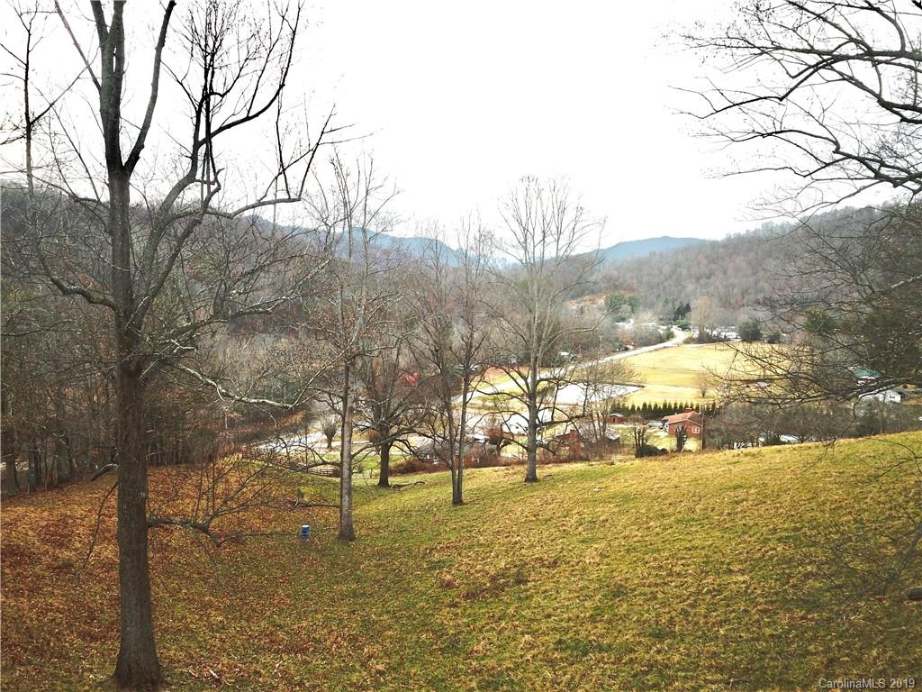 8617 Cruso Road Canton, NC 28716 - Photo 4 of 30 a view of a large yard with lots of trees