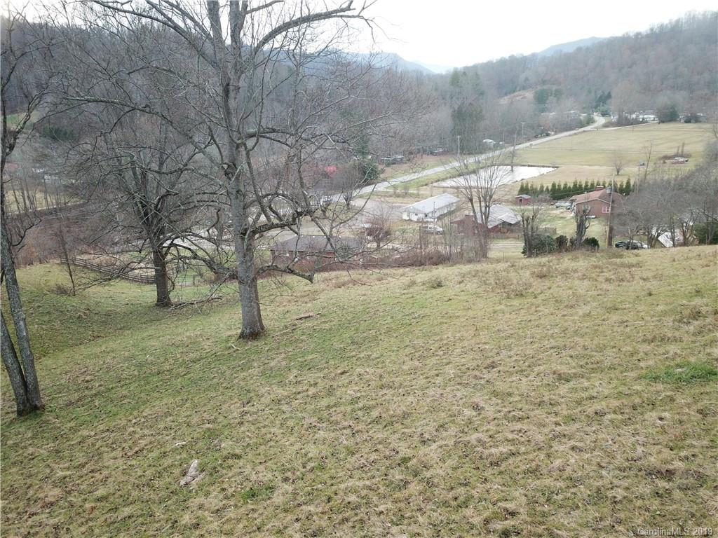 8617 Cruso Road Canton, NC 28716 - Photo 5 of 30 a view of a yard with trees
