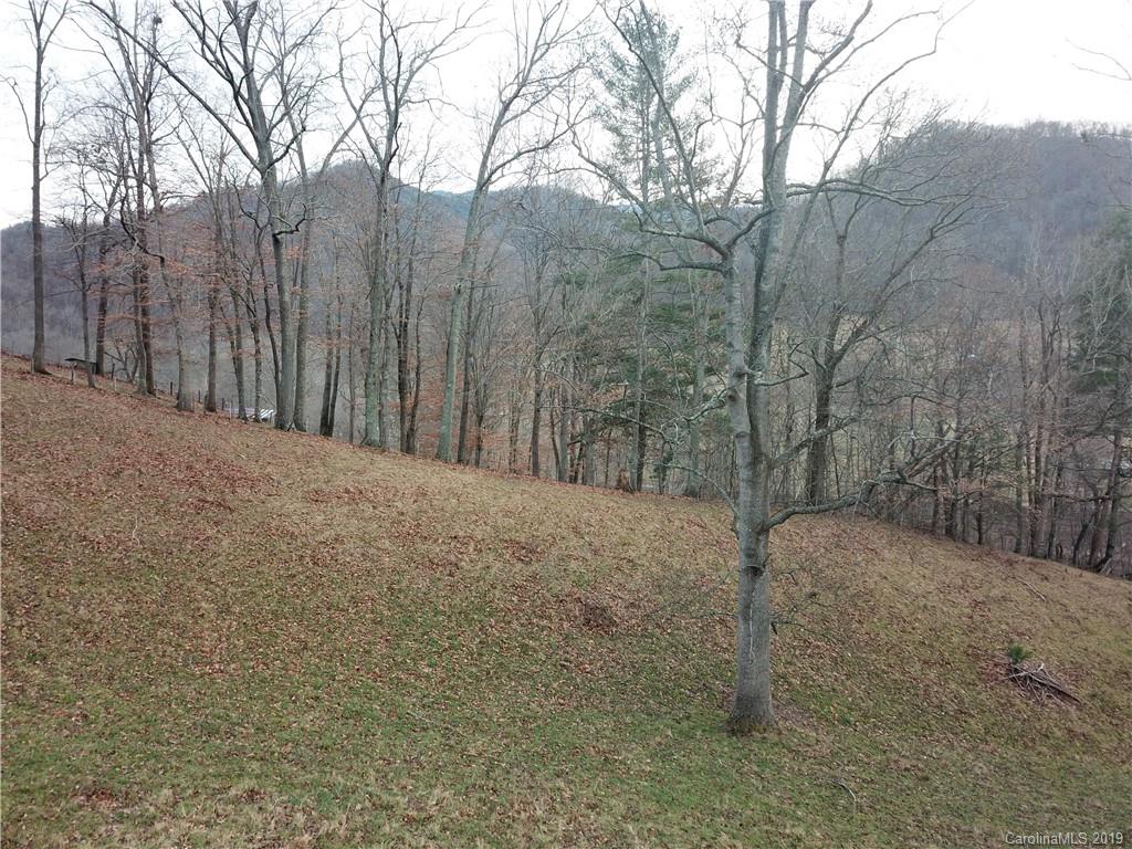 8617 Cruso Road Canton, NC 28716 - Photo 7 of 30 a view of a covered with snow in the background