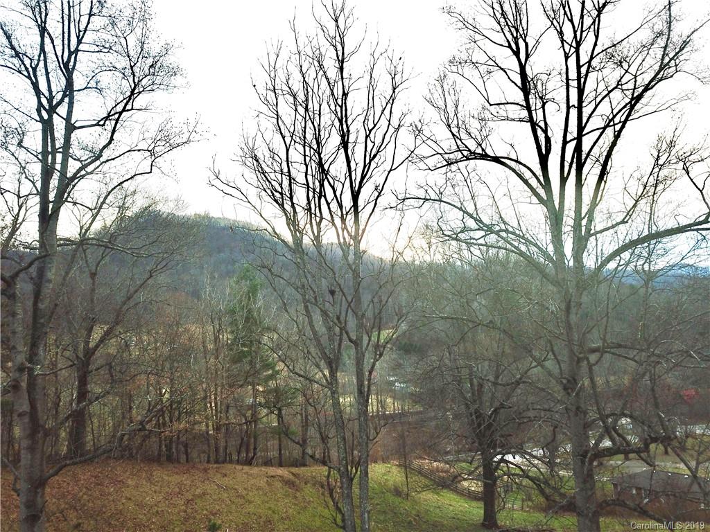 8617 Cruso Road Canton, NC 28716 - Photo 8 of 30 a view of a yard with large trees