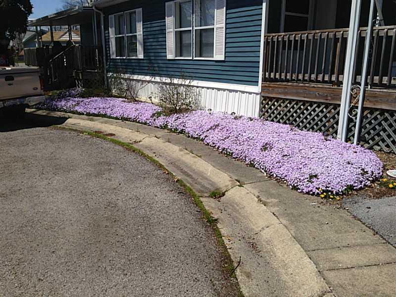 56 South Orchard Island Road, Unit 56 Russells Point, OH 43348 - Photo 25 of 25