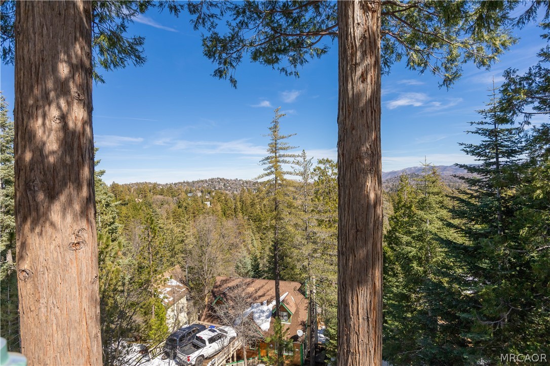 277 Grizzly Road Lake Arrowhead, CA 92352 - Photo 12 of 33 a view of a city from a balcony