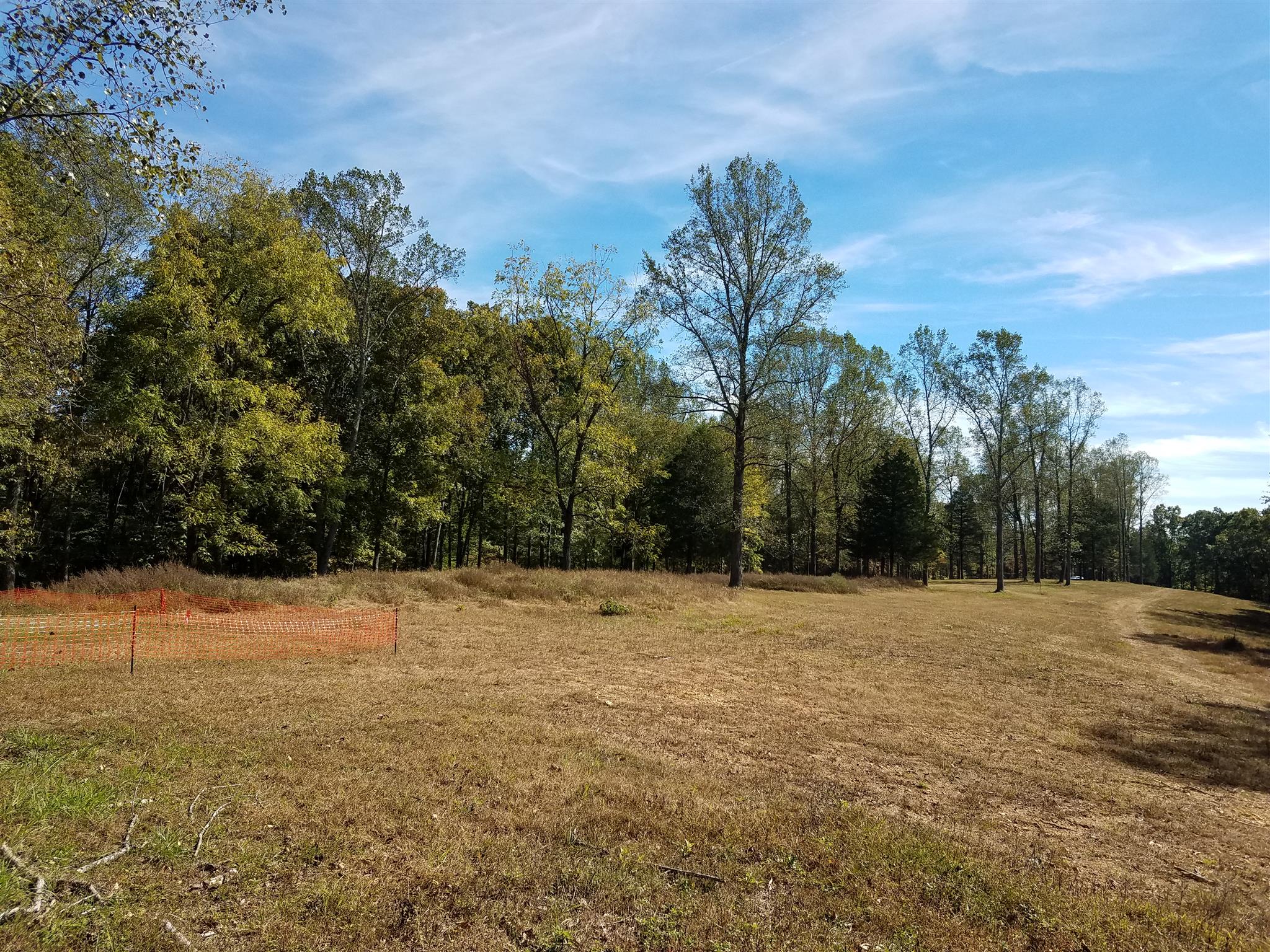 7 Barnhill Road Primm Springs, TN 38476 - Photo 2 of 7