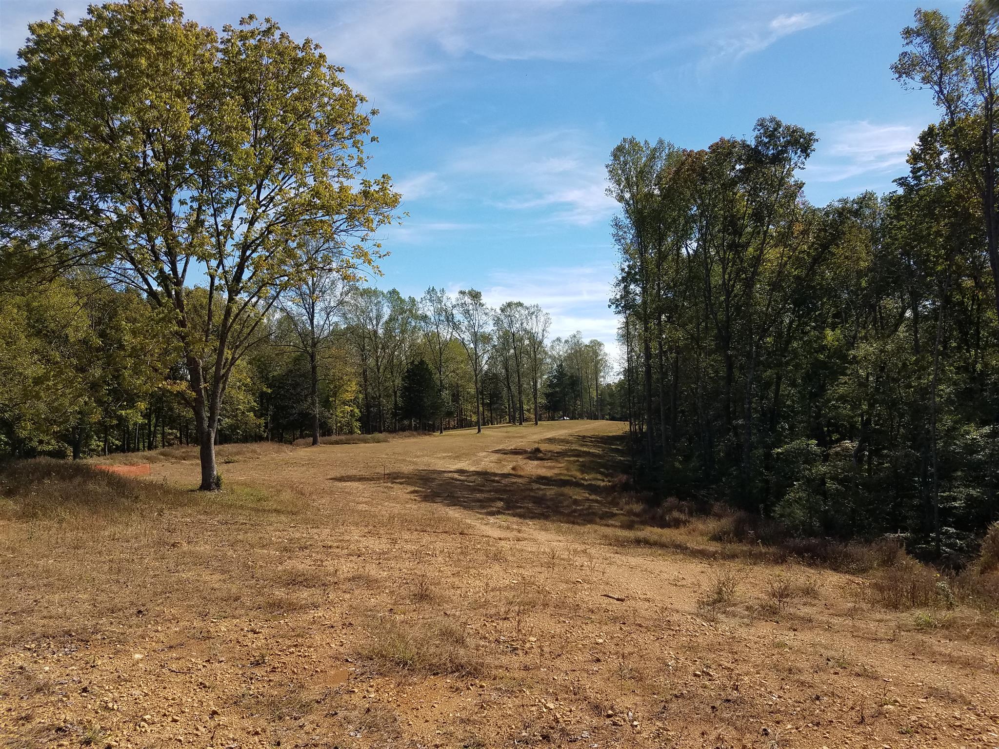 7 Barnhill Road Primm Springs, TN 38476 - Photo 3 of 7