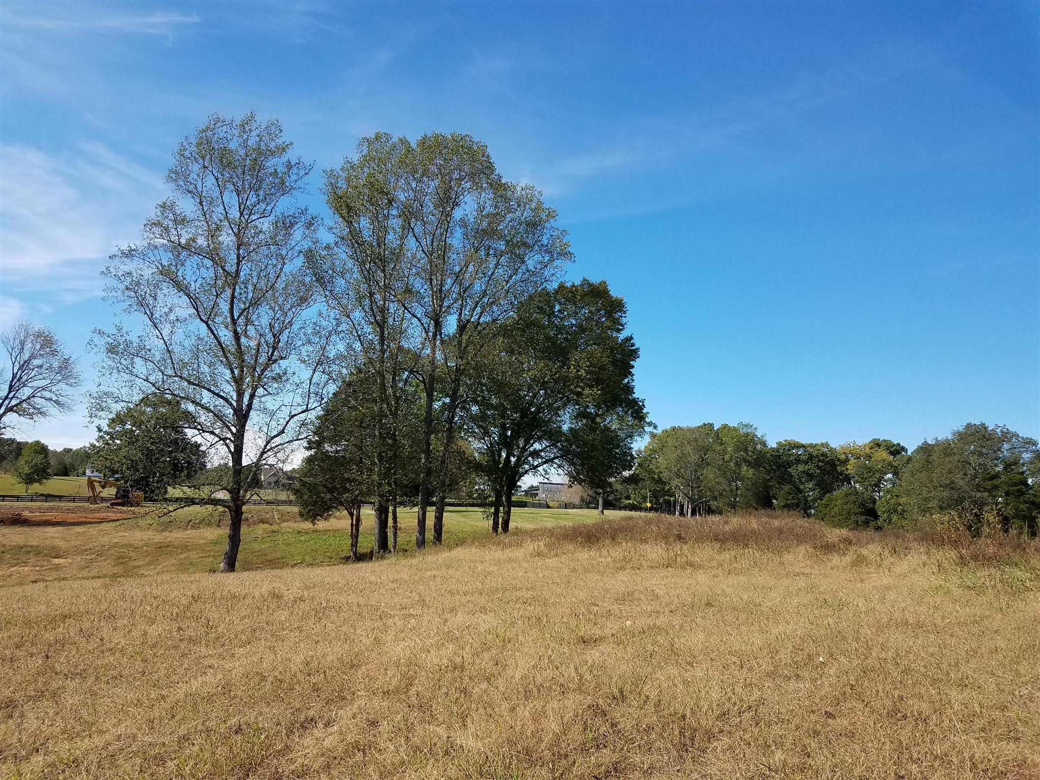 7 Barnhill Road Primm Springs, TN 38476 - Photo 4 of 7