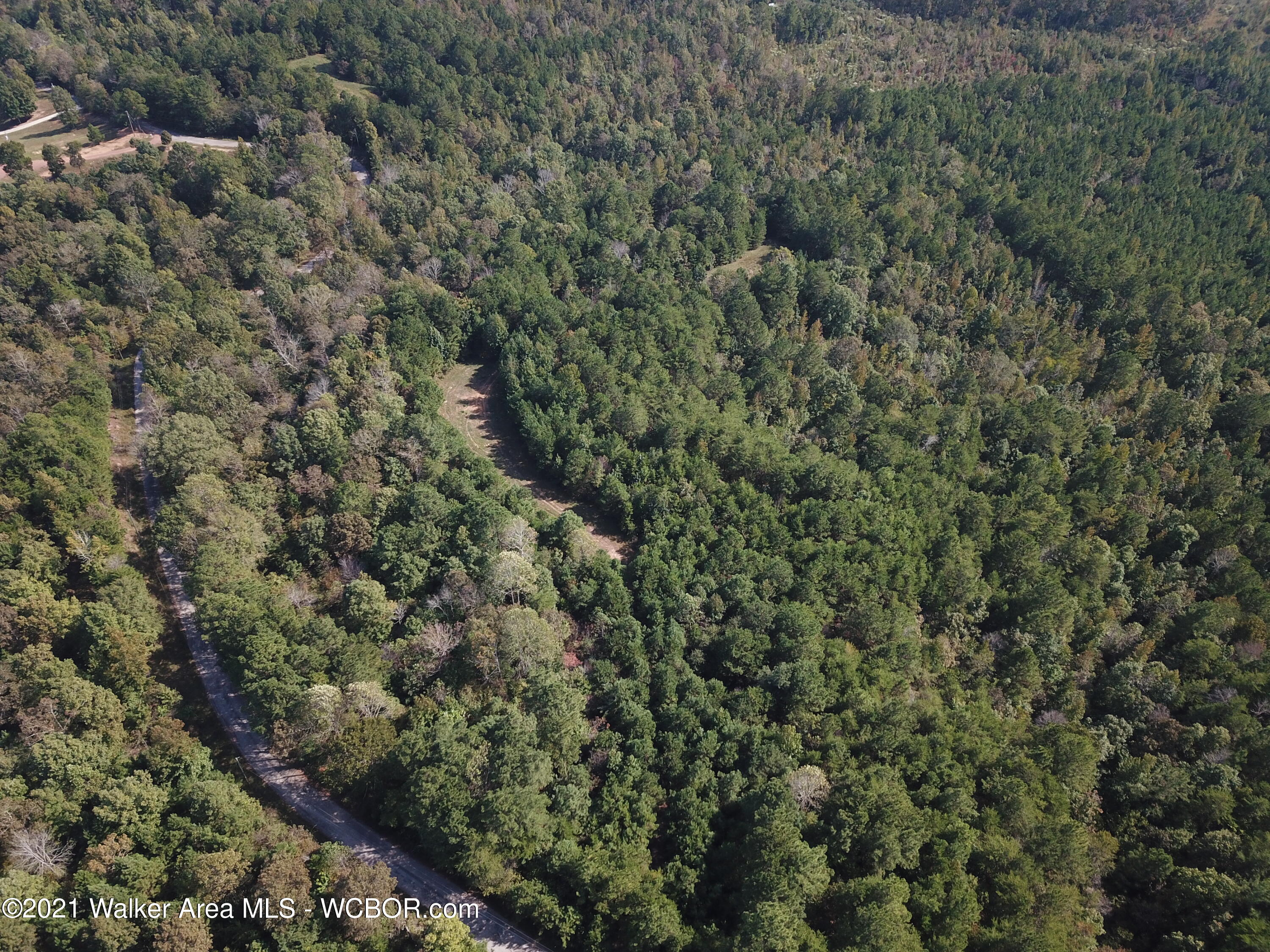 Quail Road Parrish, AL 35580 - Photo 28 of 31 Gallery Image 28