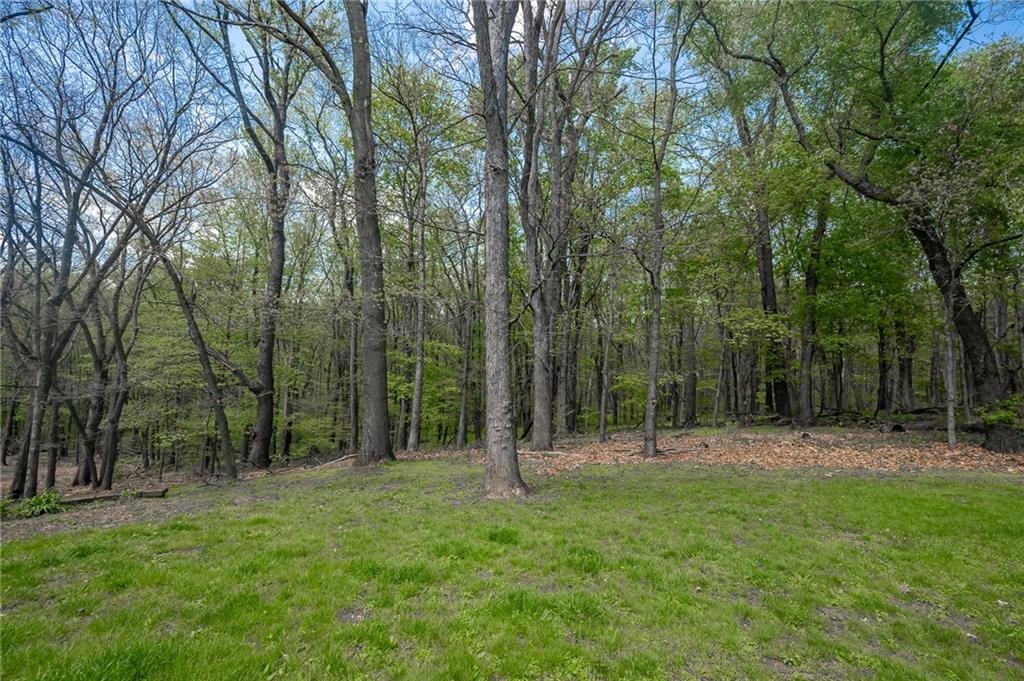 141 Timber Springs Drive Indiana, PA 15701 - Photo 15 of 50 a backyard of a house with lots of green space