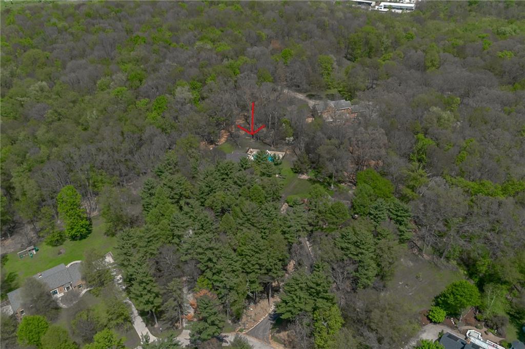 141 Timber Springs Drive Indiana, PA 15701 - Photo 20 of 50 a view of a forest with a tree