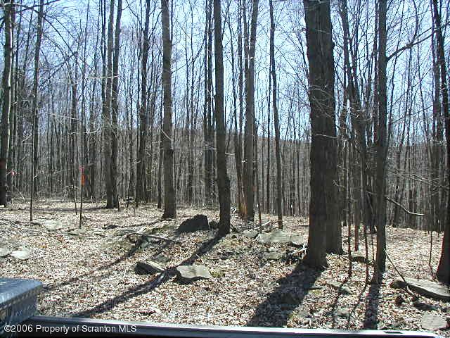 Lot 10 Wilcox T-334 Road Meshoppen, PA 18630 - Photo 1 of 4 View-1