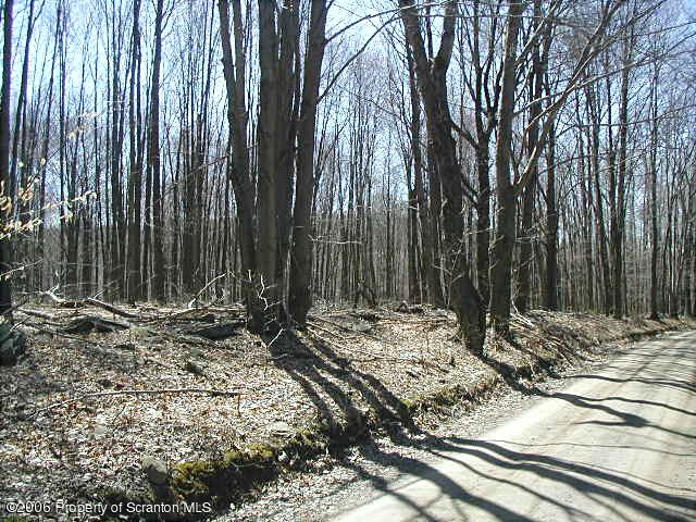 Lot 10 Wilcox T-334 Road Meshoppen, PA 18630 - Photo 2 of 4 View-2