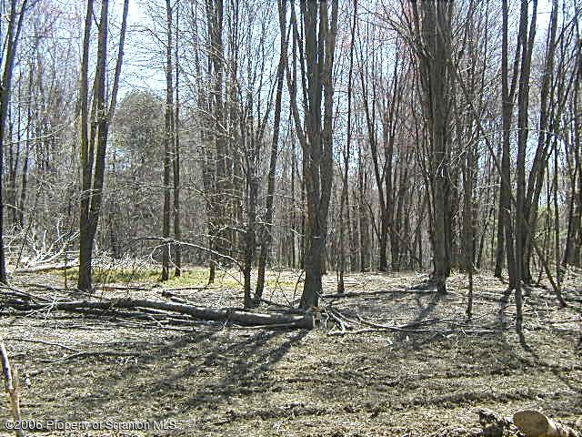 Lot 10 Wilcox T-334 Road Meshoppen, PA 18630 - Photo 3 of 4 View-3