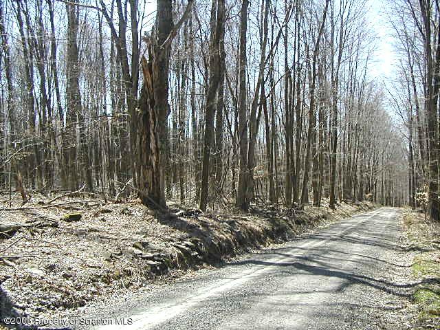 Lot 10 Wilcox T-334 Road Meshoppen, PA 18630 - Photo 4 of 4 View-4