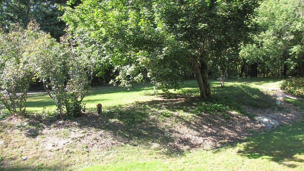 Gallery Image 7