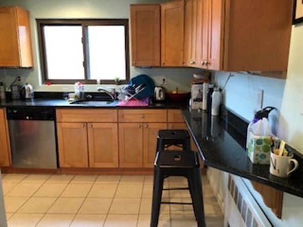 9 Reservoir Road, Unit 2 Brookline, MA 02467 - Photo 10 of 28