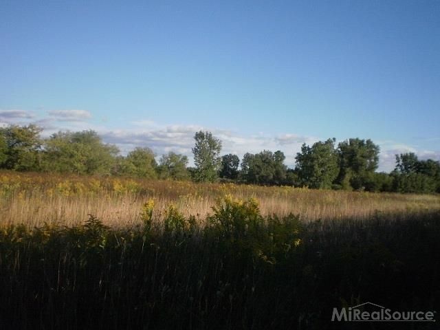 0 Metcalf Road Capac, MI 48014 - Photo 10 of 14