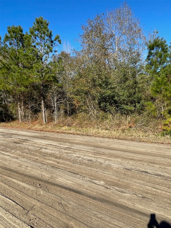 0 Eula B Road Callahan, FL 32011 - Photo 4 of 6