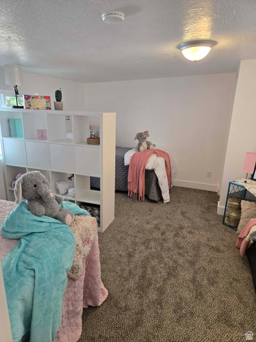 259 14th Street Ogden, UT 84404 - Photo 15 of 21 Carpeted room featuring a ceiling-mounted light fixture and a white open-shelf room divider