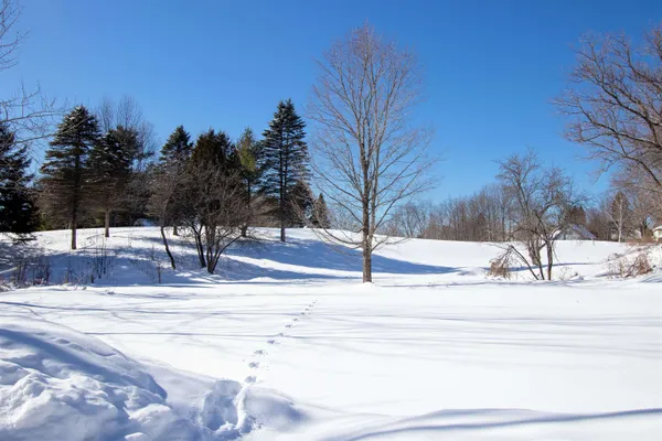 $367,500 | 196 Brainerd Street, Danville, VT 05828