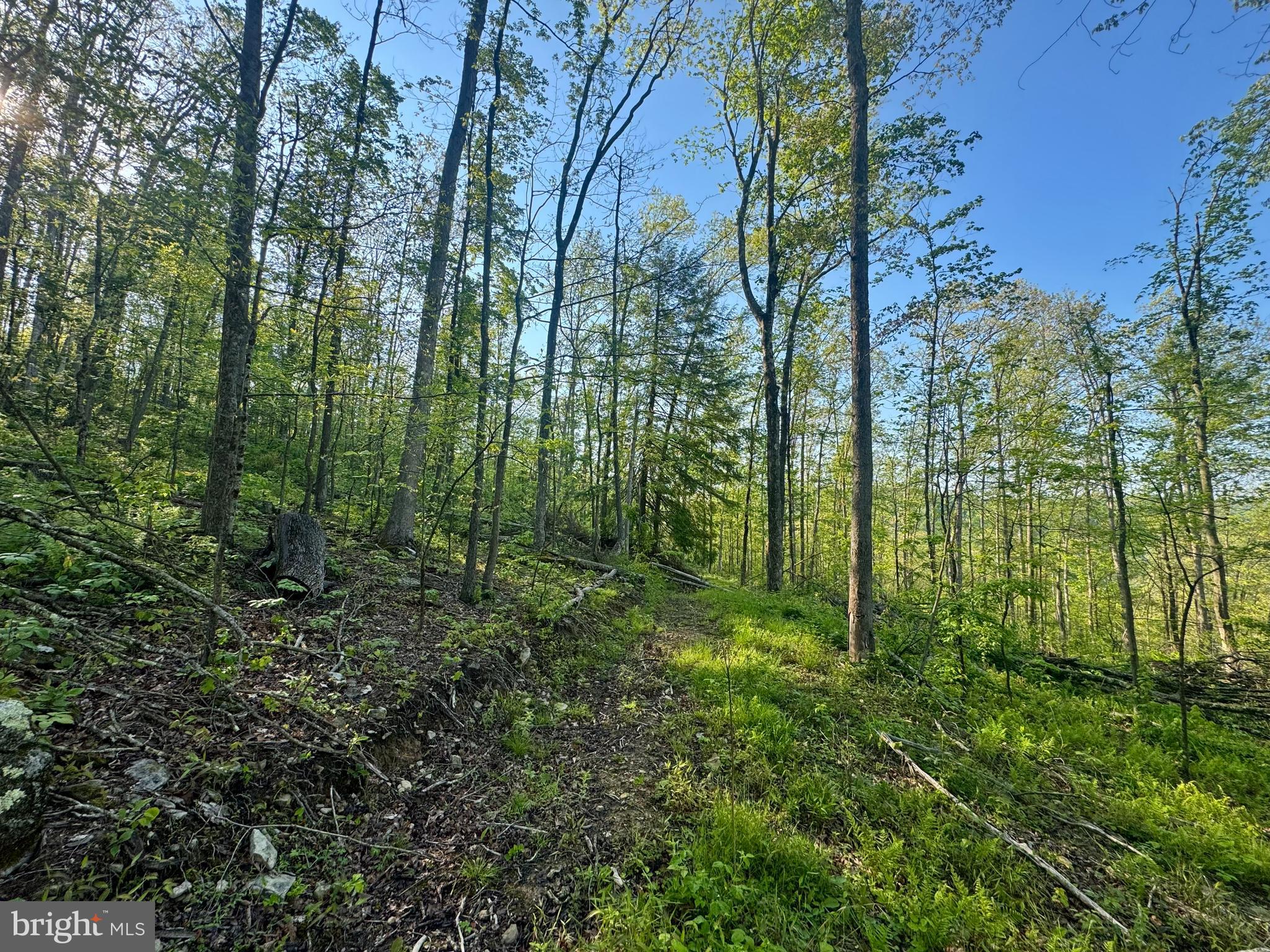 John Orr Road Independence, WV 26374 - Photo 17 of 37