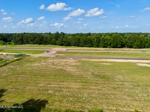 $3,295,750 | 2 Hwy 49 Flora Ms 39071, Flora, MS 39071