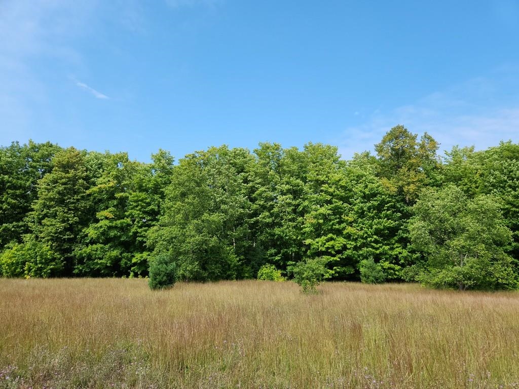 Off Crawford Lake Road Northeast Kalkaska, MI 49646 - Photo 5 of 25