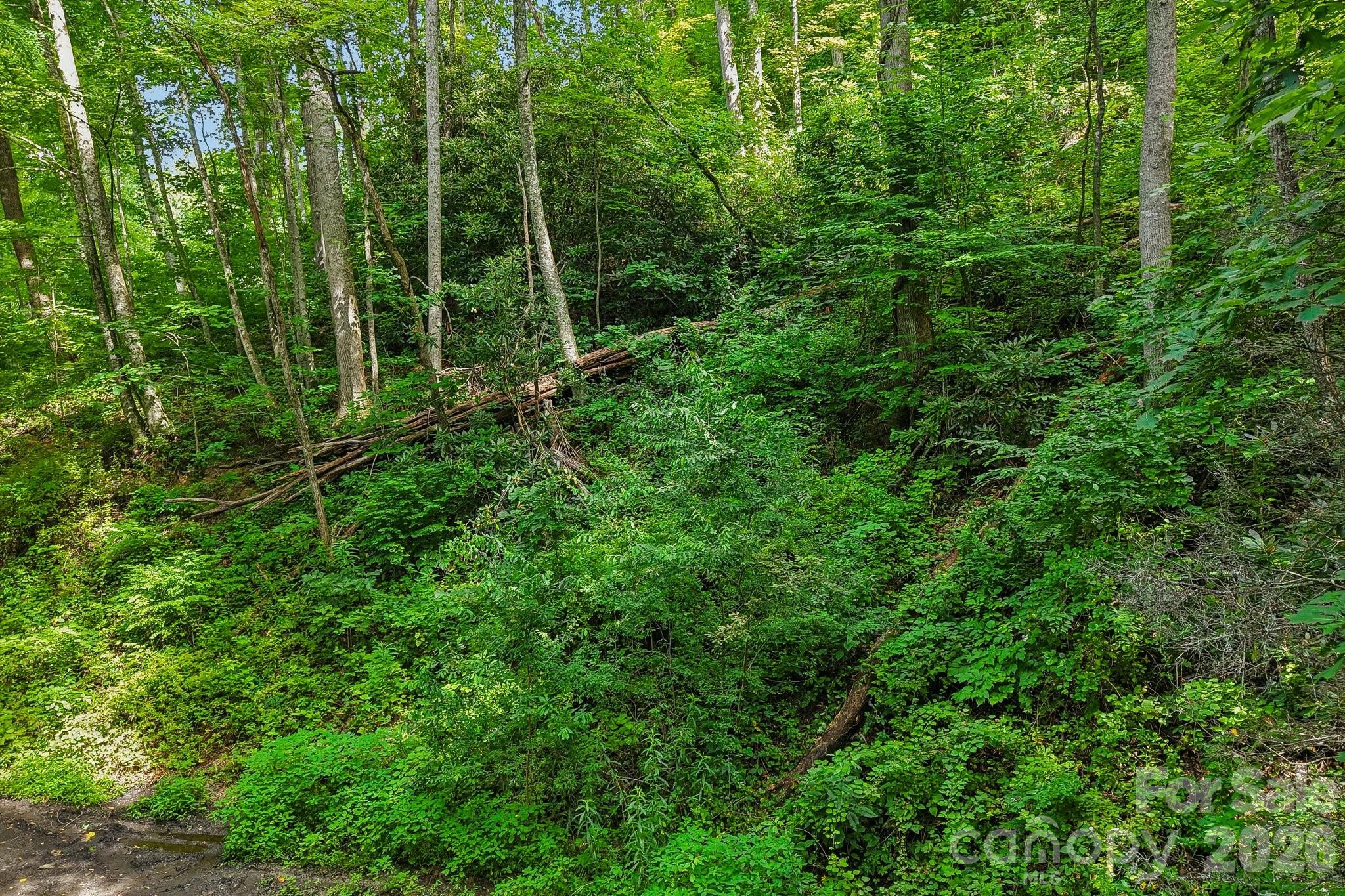 Tbd Indian Falls Road Asheville, NC 28803 - Photo 2 of 8