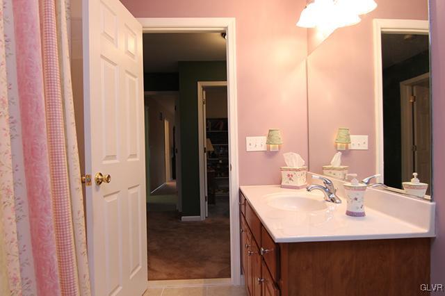 4144 Walter Road Bethlehem, PA 18020 - Photo 17 of 46 a bathroom with a sink and a mirror