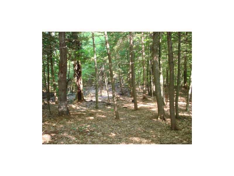 Map U1-lot Center Road Fayette, ME 04349 - Photo 1 of 5 Wooded lot