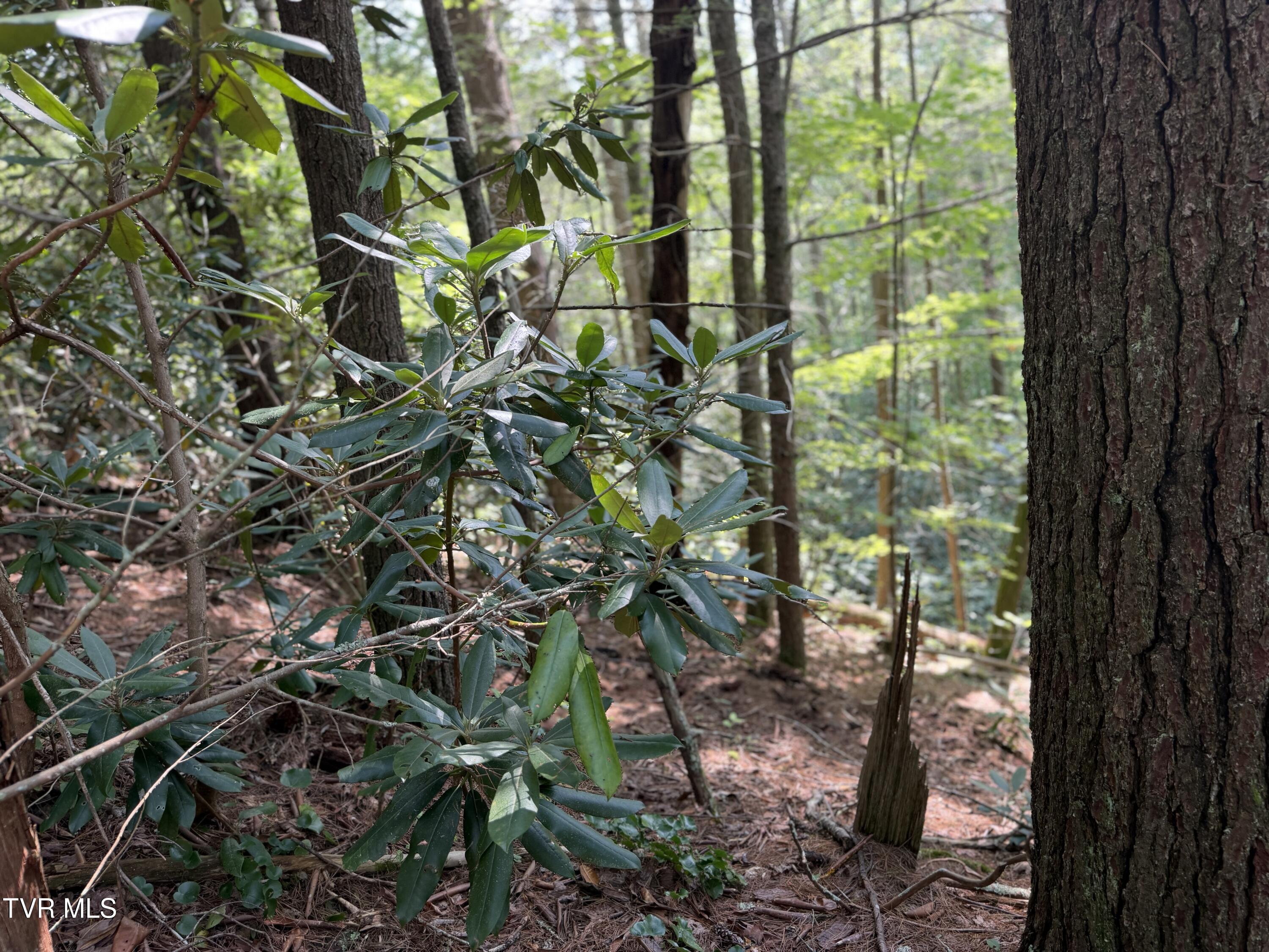 0 East Highway 25 70, Unit 9 Del Rio, TN 37727 - Photo 18 of 19 FullSizeRender