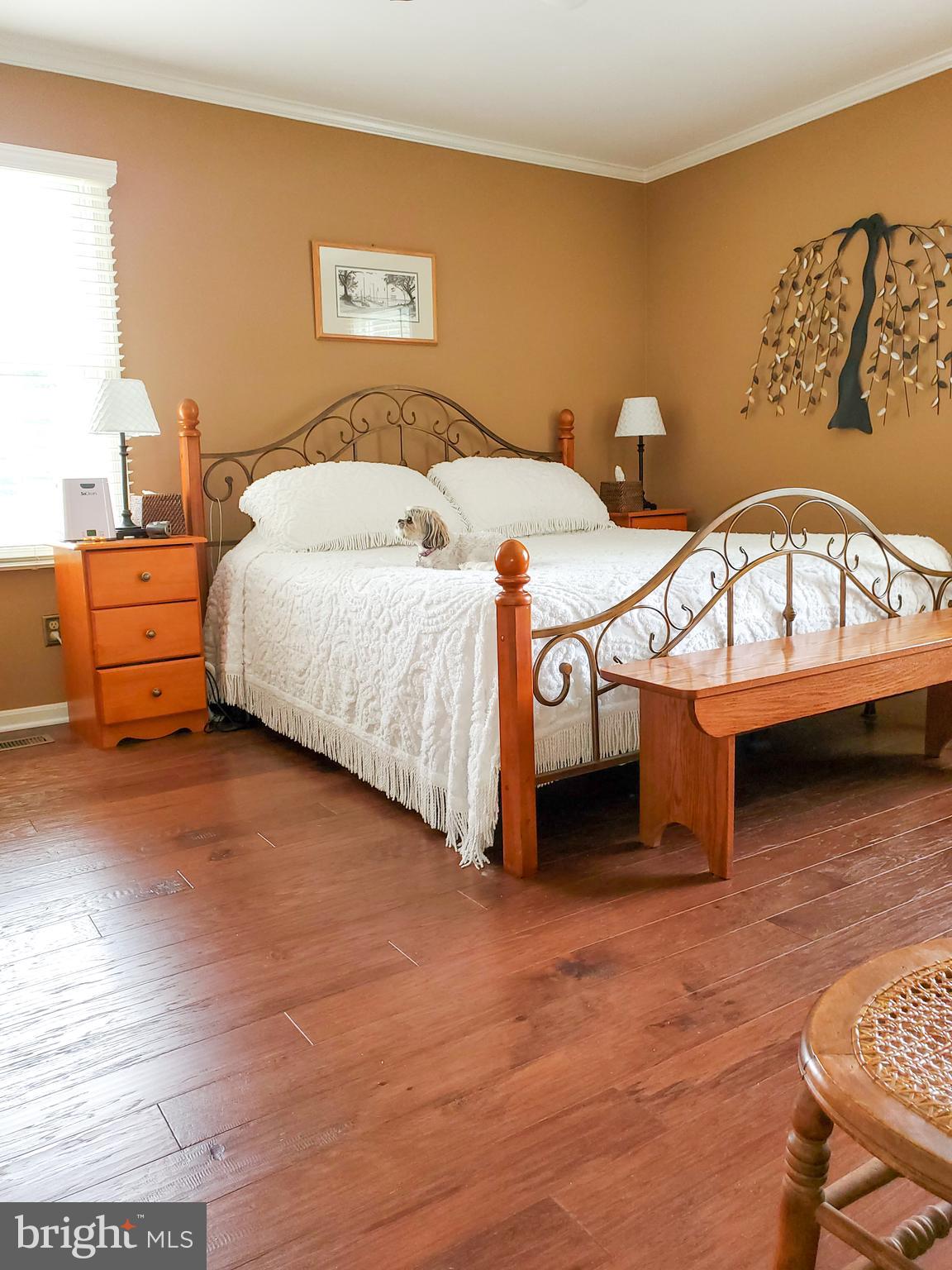 846 Hances Point Road North East, MD 21901 - Photo 20 of 25 Gallery Image 20