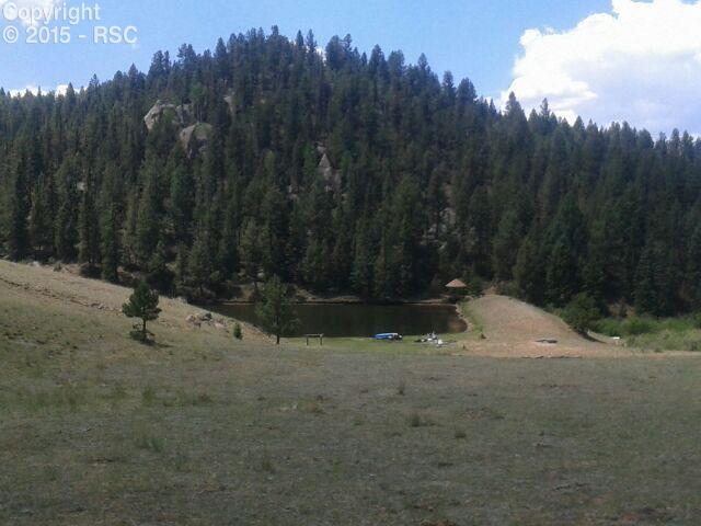 826 Charming View Divide, CO 80814 - Photo 6 of 15