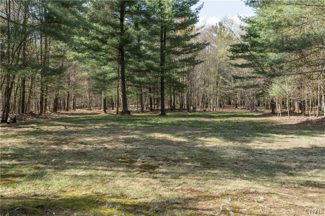 6325 South Chases Lake Road Greig, NY 13343 - Photo 28 of 29