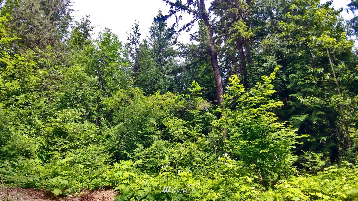 2 Nelson Siding Road Cle Elum, WA 98922 - Photo 14 of 15