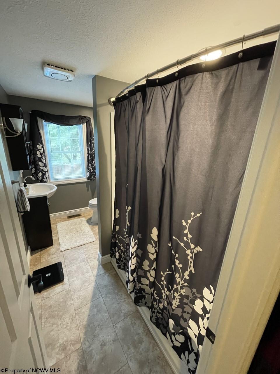 124 Frick Street Rices Landing, PA 15357 - Photo 15 of 19 Gallery Image 15