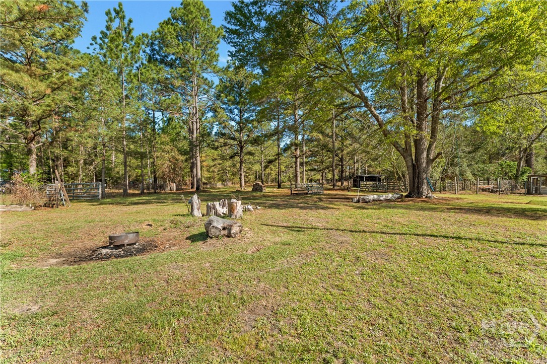 5048 Clyo-Kildare Road Clyo, GA 31303 - Photo 57 of 68