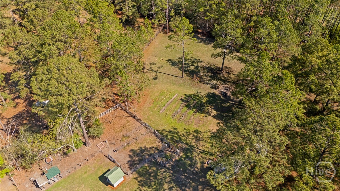 5048 Clyo-Kildare Road Clyo, GA 31303 - Photo 67 of 68