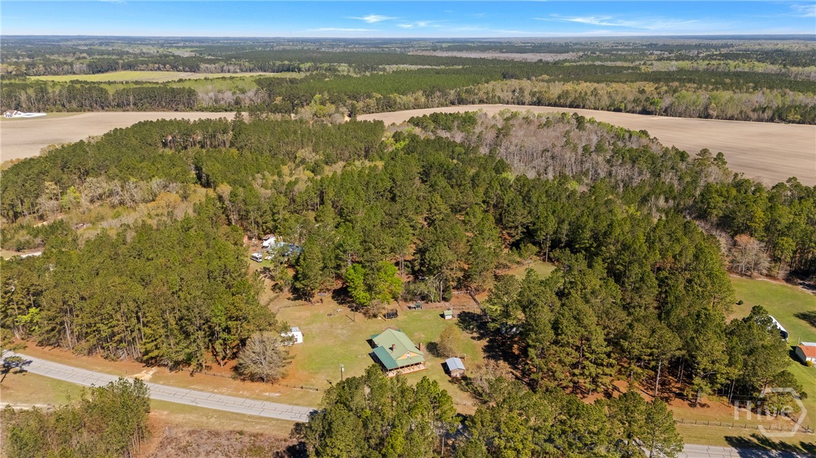 5048 Clyo-Kildare Road Clyo, GA 31303 - Photo 68 of 68