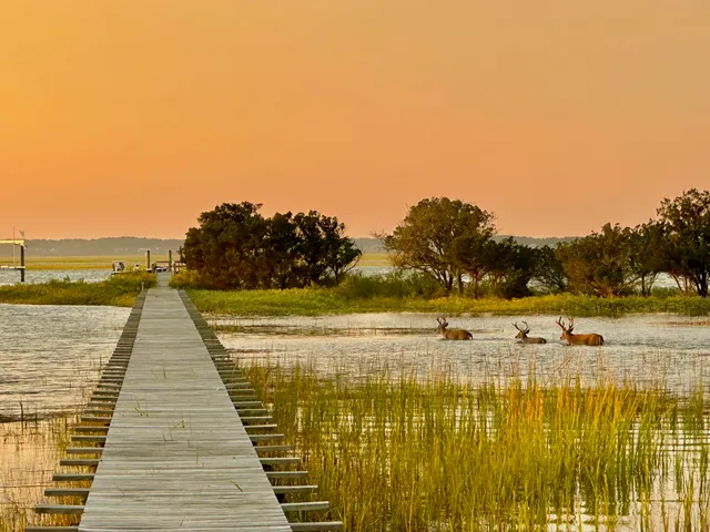 $6,750,000 | 14 Waterway Island Drive, Isle of Palms, SC 29451