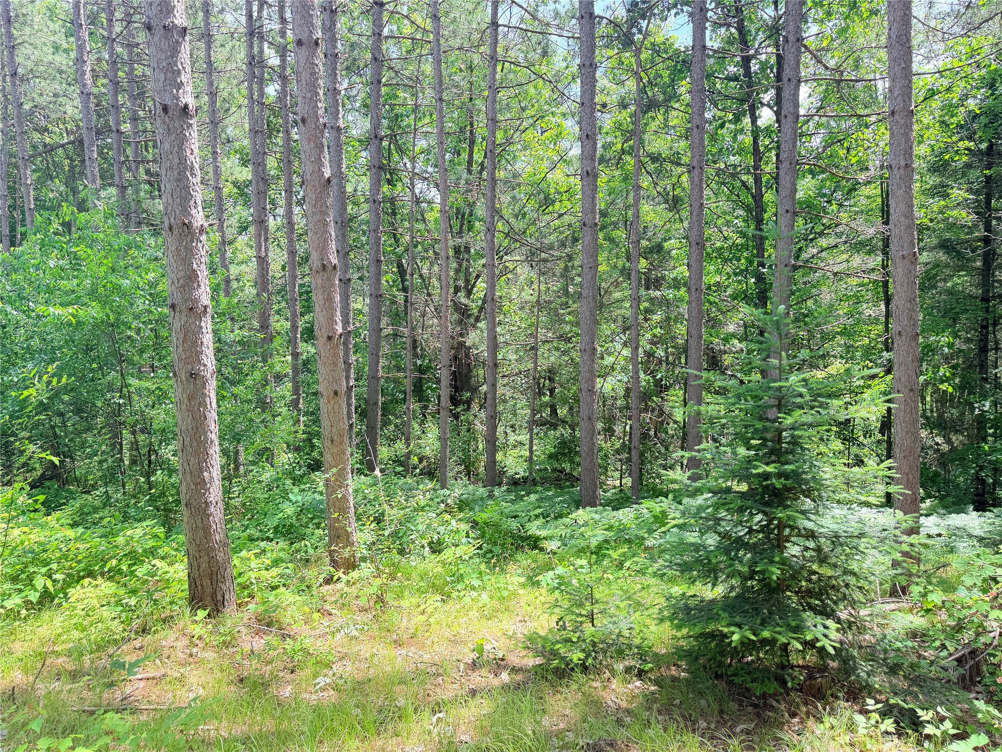 W11097 Boat Landing Road Ladysmith, WI 54848 - Photo 12 of 23 Gallery Image 12
