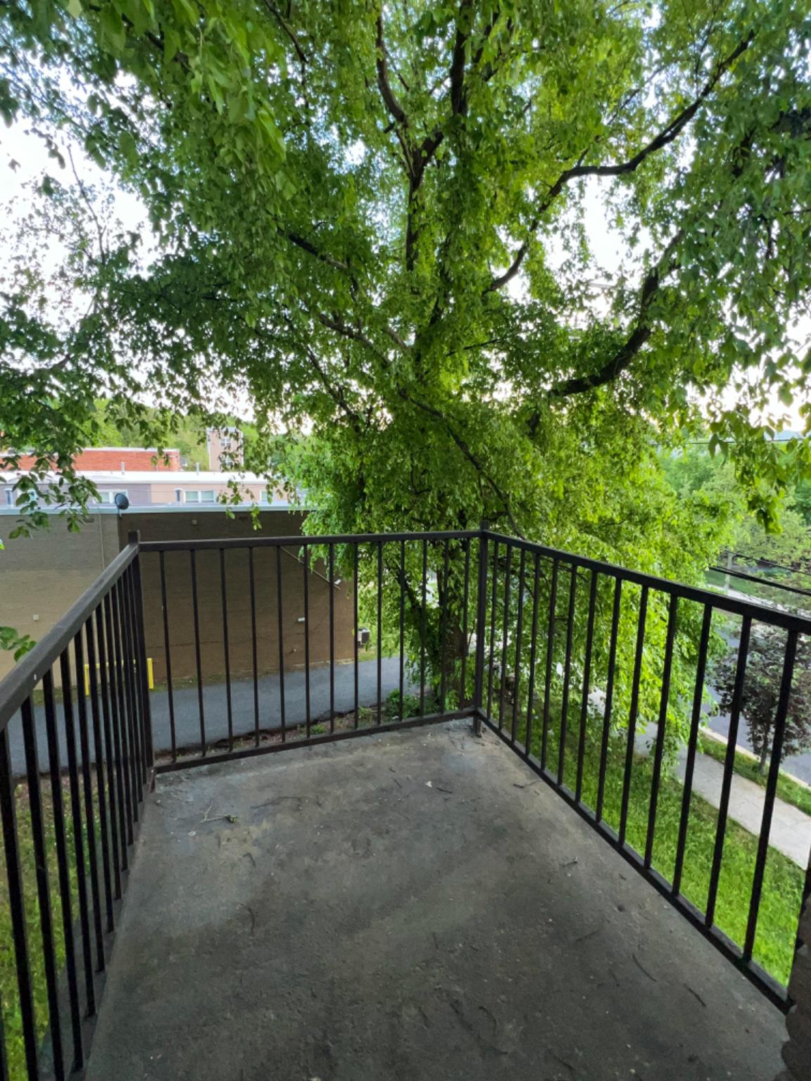 5501 Foote Street Northeast Washington, DC 20019 - Photo 21 of 22 unit 6 balcony