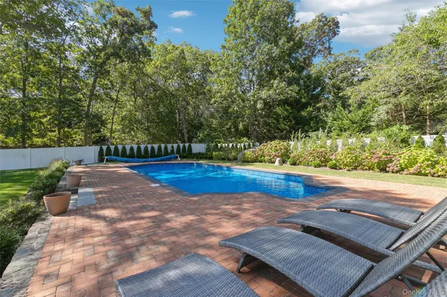 a view of a yard with plants