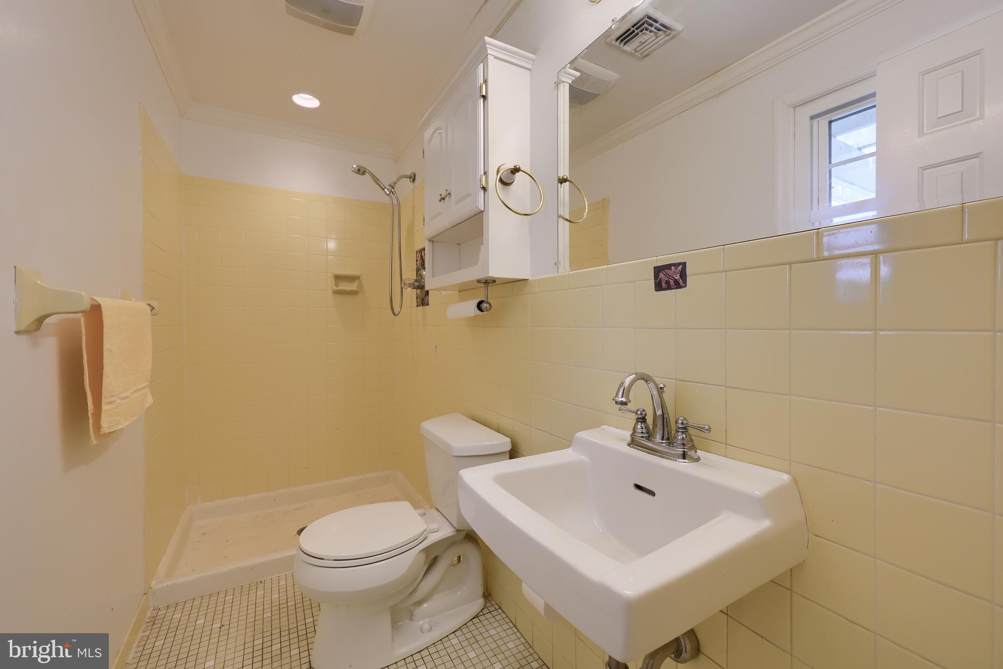 151 Fairview Road Glenmoore, PA 19343 - Photo 32 of 75 Primary Bathroom