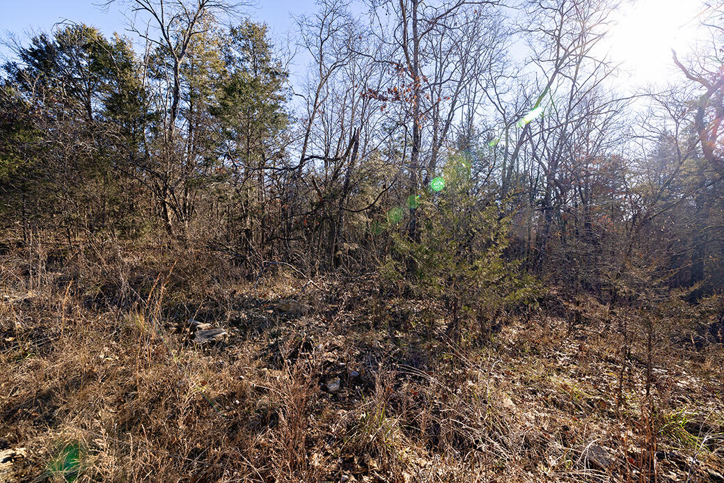 Lot 4 Sandstone Road Rockaway Beach, MO 65740 - Photo 2 of 4 614A2201 copy