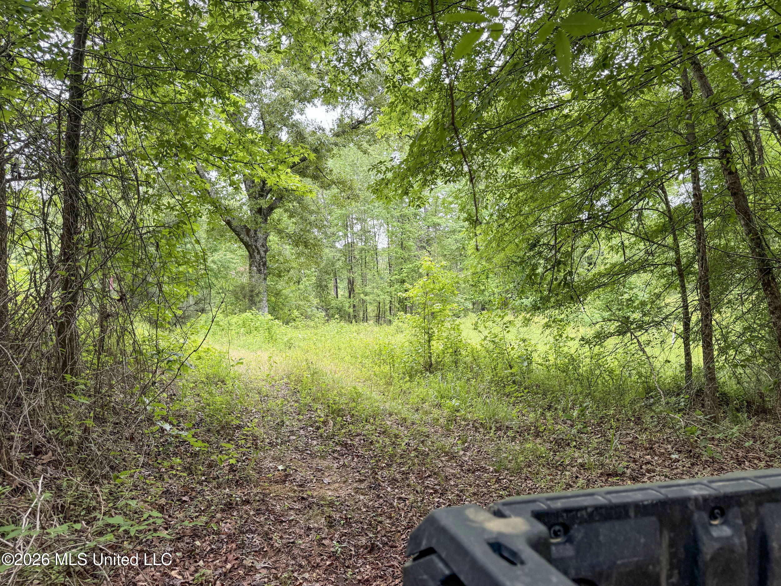Wayne Massie Road Como, MS 38619 - Photo 112 of 184 5cdtbs46