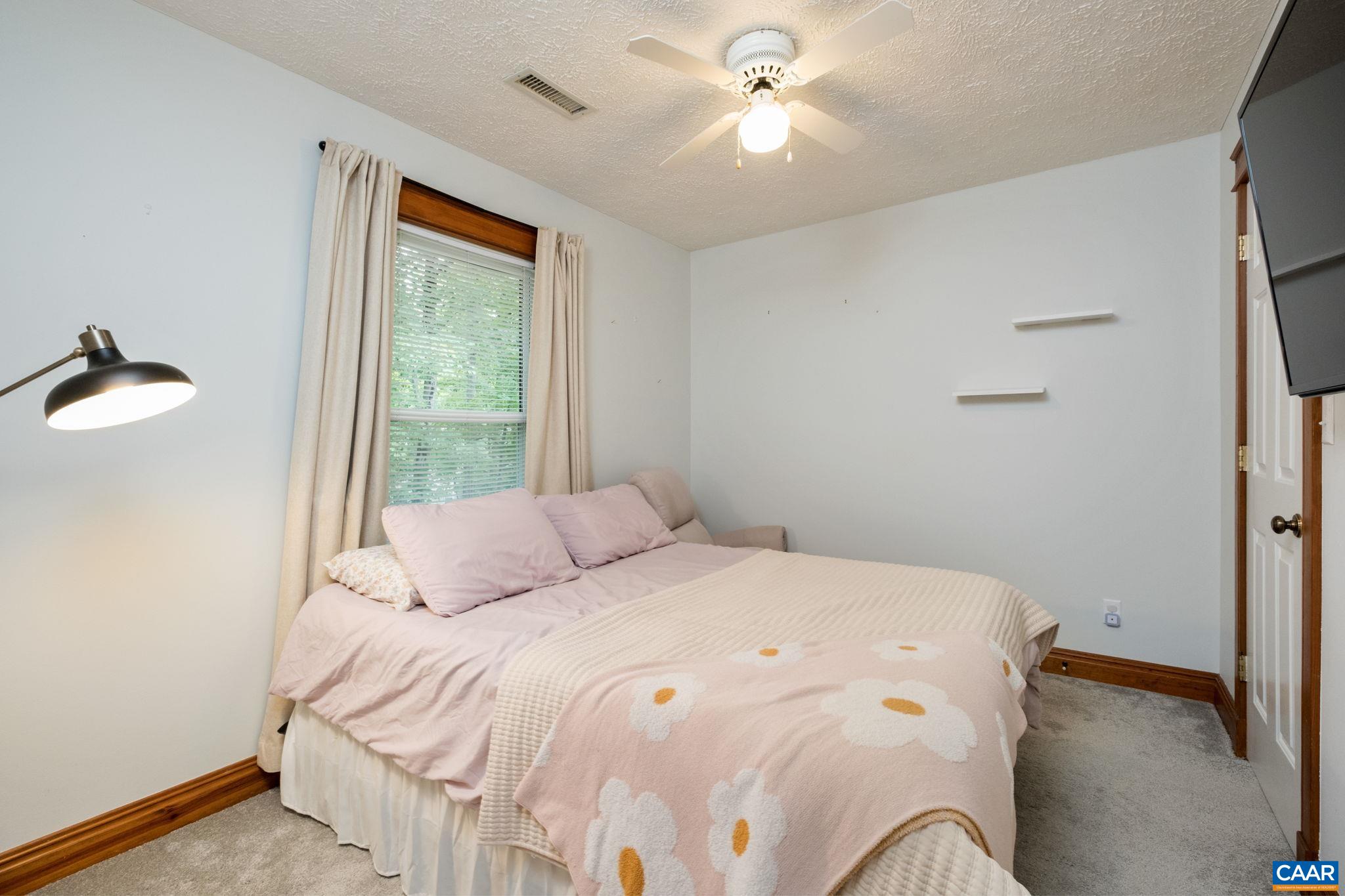 45 Amethyst Road Palmyra, VA 22963 - Photo 17 of 31