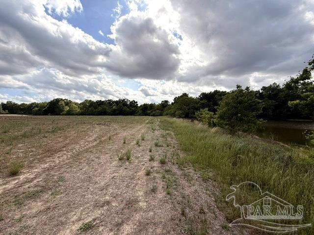 Lot 2-3 Tungoil Road Walnut Hill, FL 32568 - Photo 6 of 11