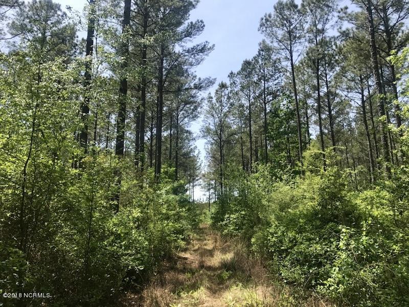 33-ac Tedder Road Lucama, NC 27851 - Photo 31 of 33 30