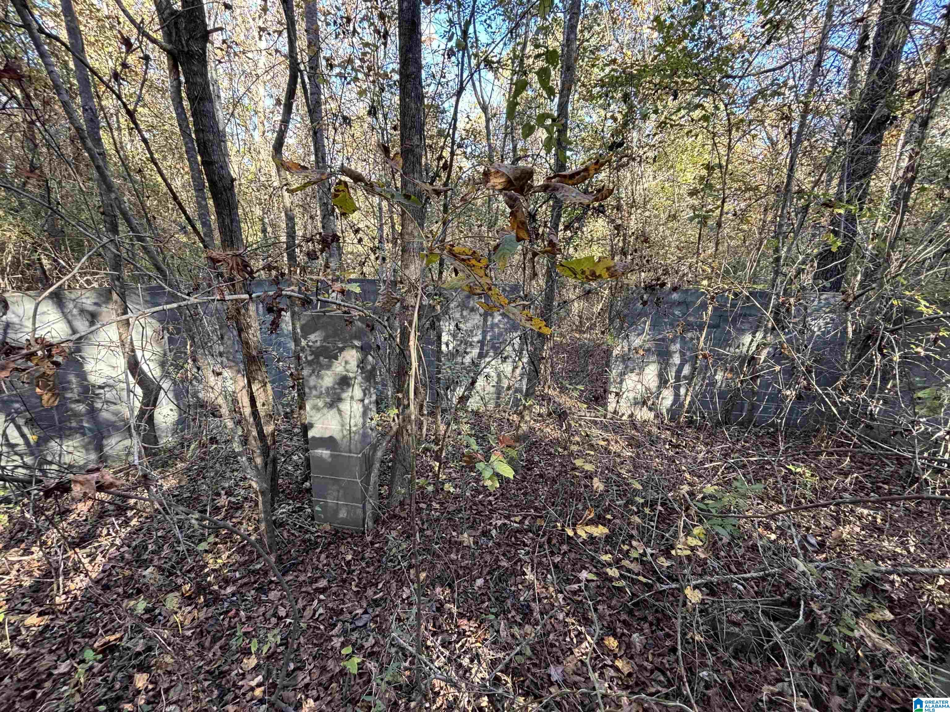 0 Waldrop Road, Unit 10 82 ACRES Ashville, AL 35953 - Photo 22 of 22